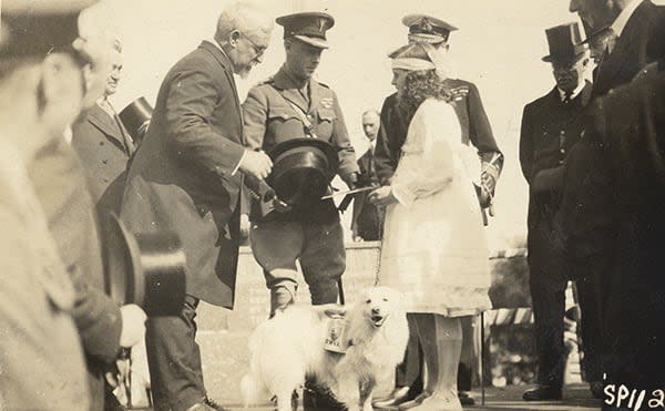 Postcard of Muggins the dog and the Prince of Wales, with young Doris Baker presenting a photograph of Muggins to the prince. Then-Premier John Oliver is on the left.