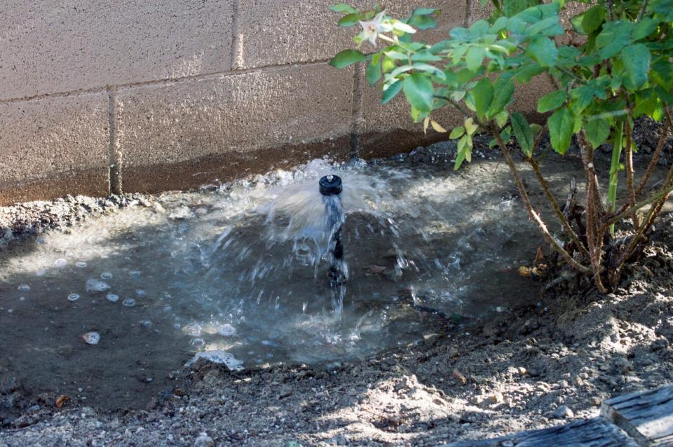 sprinkler near house foundation overwatering the soil