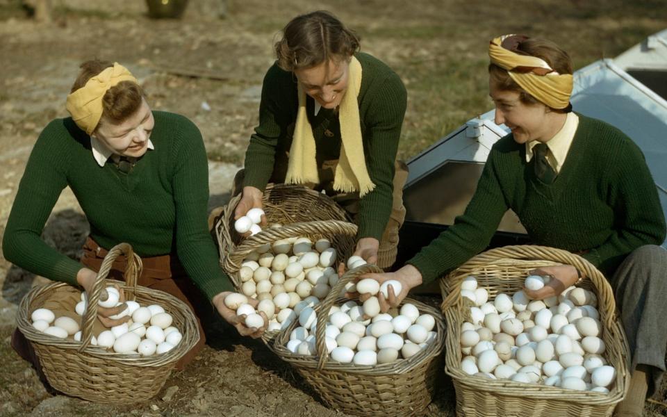 Three Land Girls, members of the Women's Land Army, examining baskets of fresh eggs in Surrey in March 1944 - Popperfoto