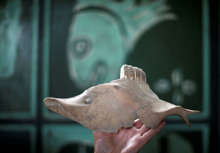 Stone collector Luigi Lineri, 79, holds a horse jaw bone that is shaped like a fish, discovered along Adige river in Zevio, near Verona, Italy, June 10, 2016. REUTERS/Alessandro Bianchi