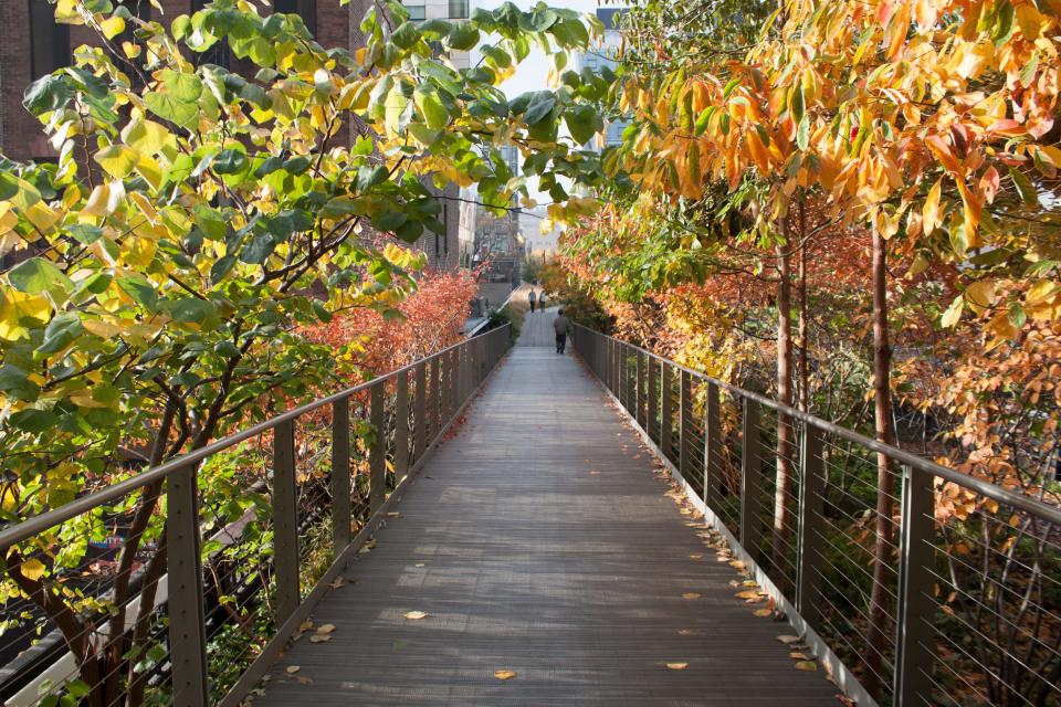 Highline Park 9942