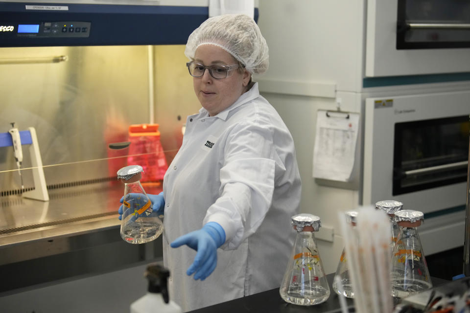 Operational technician Erin Aranda handles flasks containing mushroom spores at the production facility for Meati Wednesday, July 26, 2023, in Thornton, Colo. Eventually, the company expects to produce more than 40 million pounds of meat annually at its 100,000-square-foot Mega Ranch in Thornton. That’s about 160 million four-ounce servings, or half the amount of beef served each year at Chipotle, one of Meati’s biggest investors. (AP Photo/David Zalubowski)