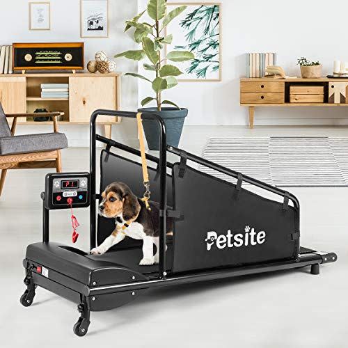 5) PETSITE Dog Treadmill