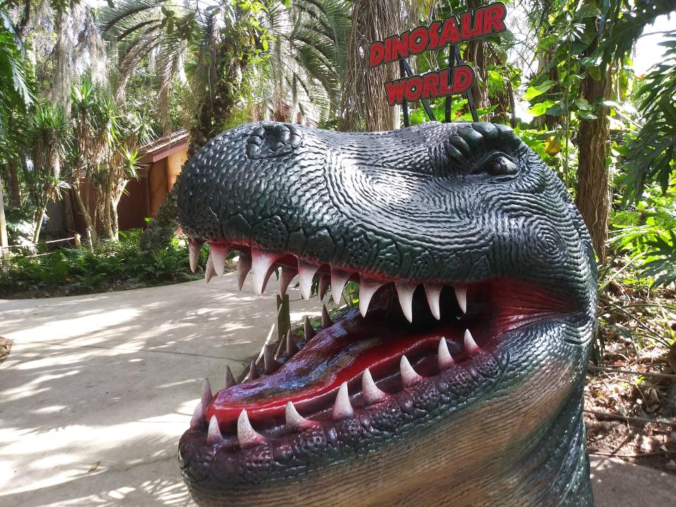 A dinosaur greets visitors to Dinosaur World in Plant City. The park features a 22,000-square-foot museum with animatronic dinosaurs, a 5,000-square-foot gift shop, playground area and courtyard with 25-foot-tall dinosaurs as well as a covered picnic area.