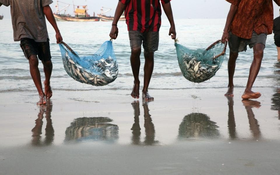 <span class="caption">Achieving ‘infinity fish’ would allow us to pass on a healthy ocean to our children and grandchildren.</span> <span class="attribution"><span class="source">(Shutterstock)</span></span>