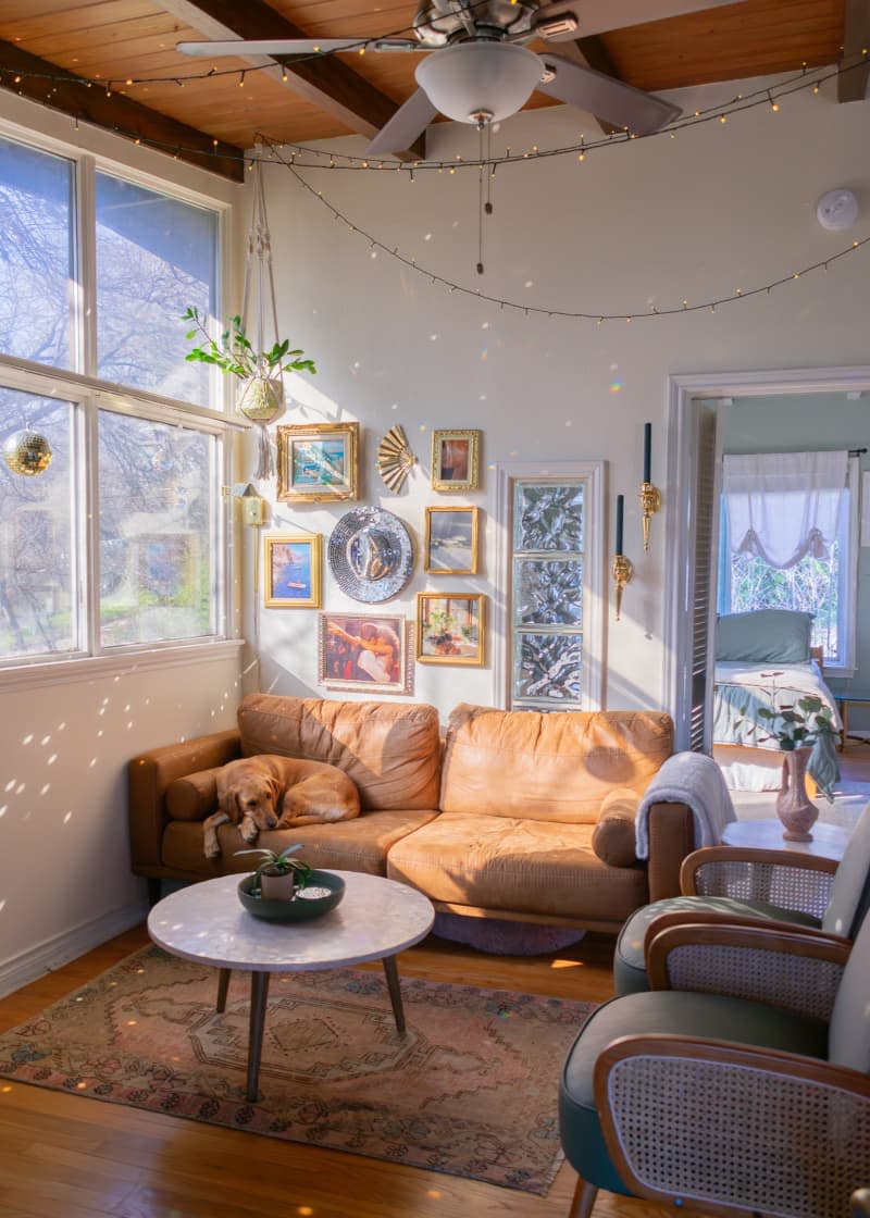 A dog lays on a leather couch as a sign shines through large windows.