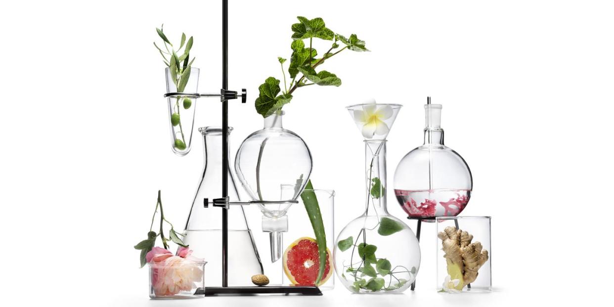 botanicals and beakers