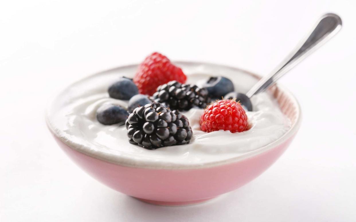 Scientists said that two bacteria commonly found in live yogurt, may lower the number of cancer causing chemicals in the gut - Getty Images Contributor