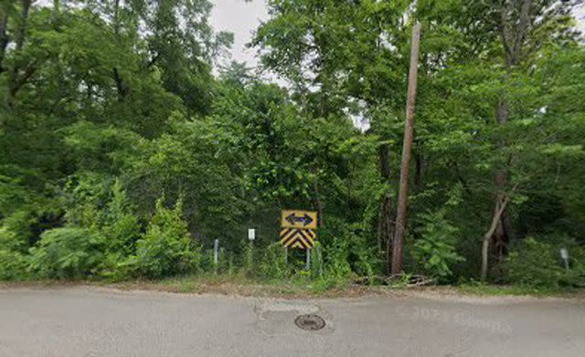 <p>Google</p> According to police, Nakita Chantryce Davidson was found in the trunk of her vehicle near this wooded area in Birmingham, Ala. Friday, April 12.
