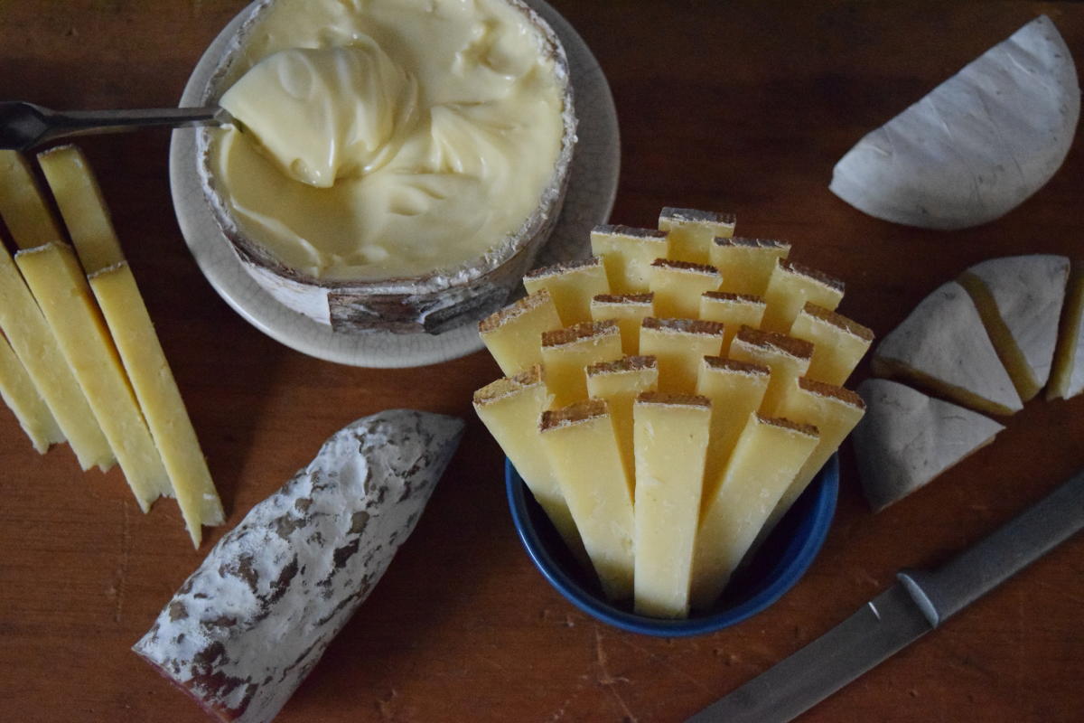 6 Types of Cheese - Flavors, Pairings, & Textures