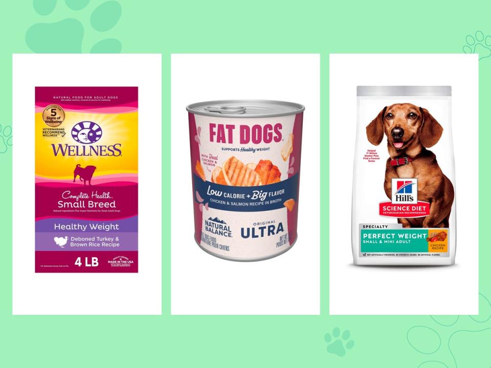 Bags of Hill's Science Diet and Wellness dry small dog food and Natural Balance wet small dog food for weight loss on a green background.