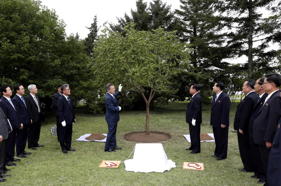 In this Wednesday, Sept. 19, 2018 photo, South Korean President Moon Jae-in, center left, talks with North Korean official Choe Ryong Hae, center right, after planting a memorial tree at Paekhwawon State Guesthouse in Pyongyang, North Korea. (Pyongyang Press Corps Pool via AP)