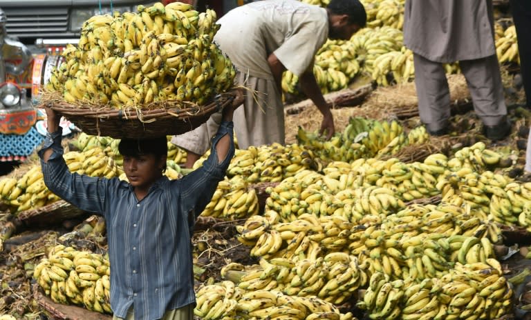 Scientists find that the black spots on old banana peels may unlock a faster, easier diagnosis of human skin cancer