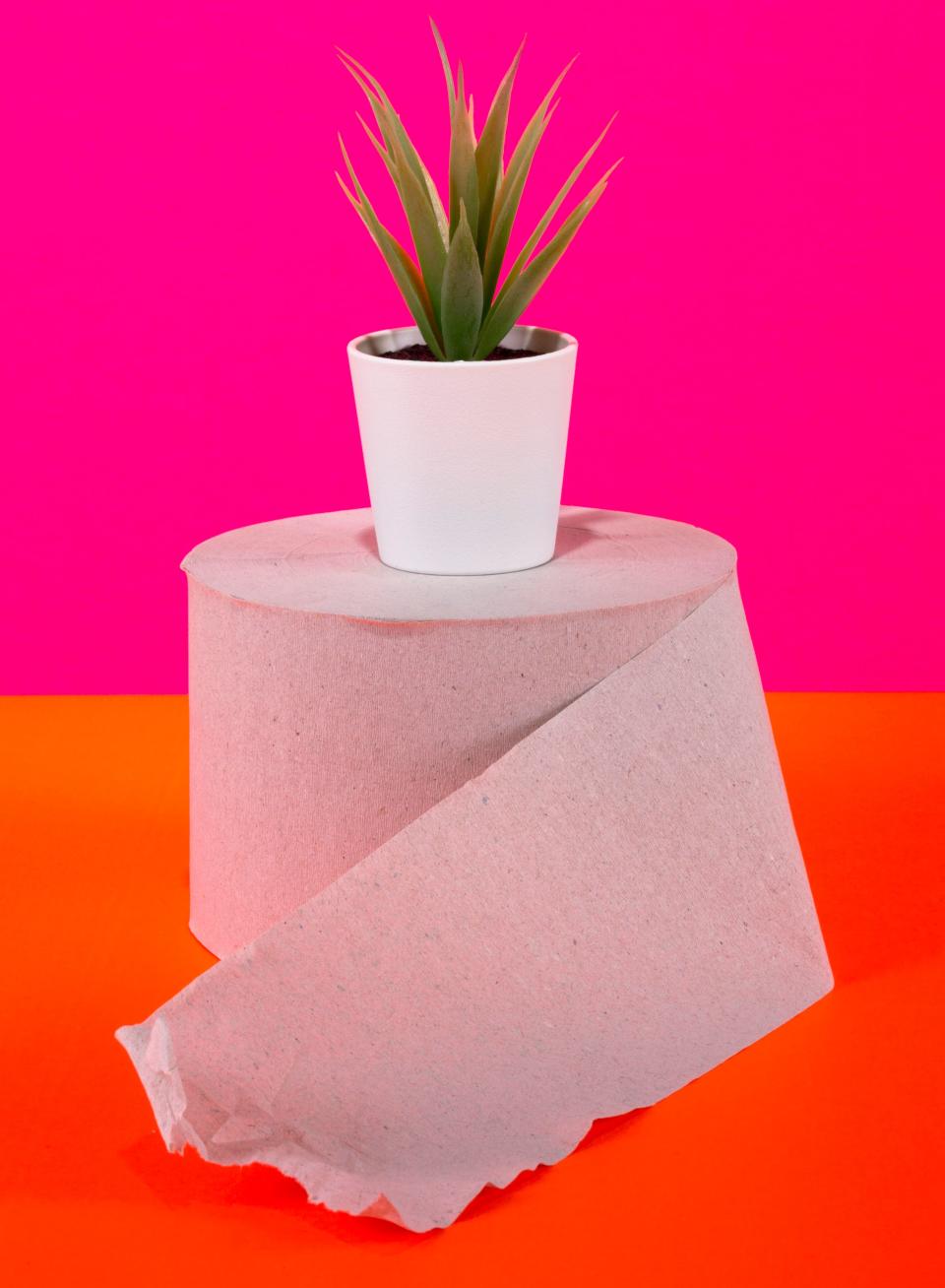 While regular ol&rsquo; toilet paper might break down more easily than wipes and won&rsquo;t usually pose a threat to pipes, it&rsquo;s still not great for the environment. (Photo: I_Valentin via Getty Images)