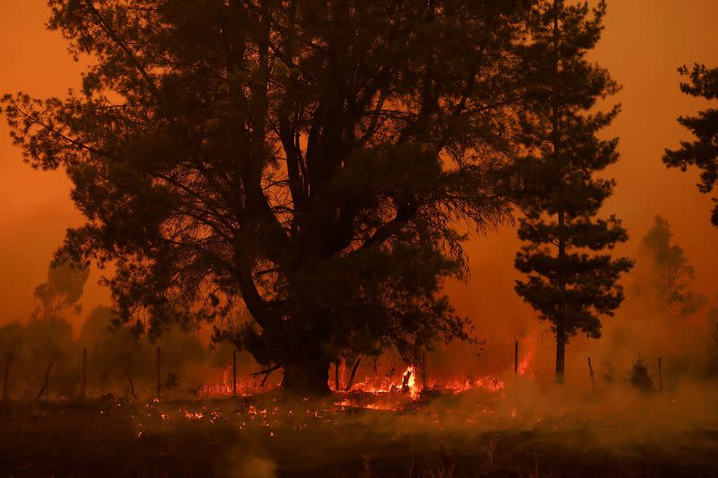 Wildfire burns in Chile