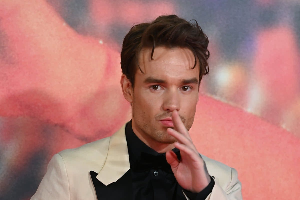 Liam Payne has opened up about spending time in a US wellness centre  (Kate Green/Getty Images)