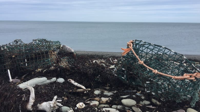 Lobster fishermen scramble for new traps after thousands destroyed in storm