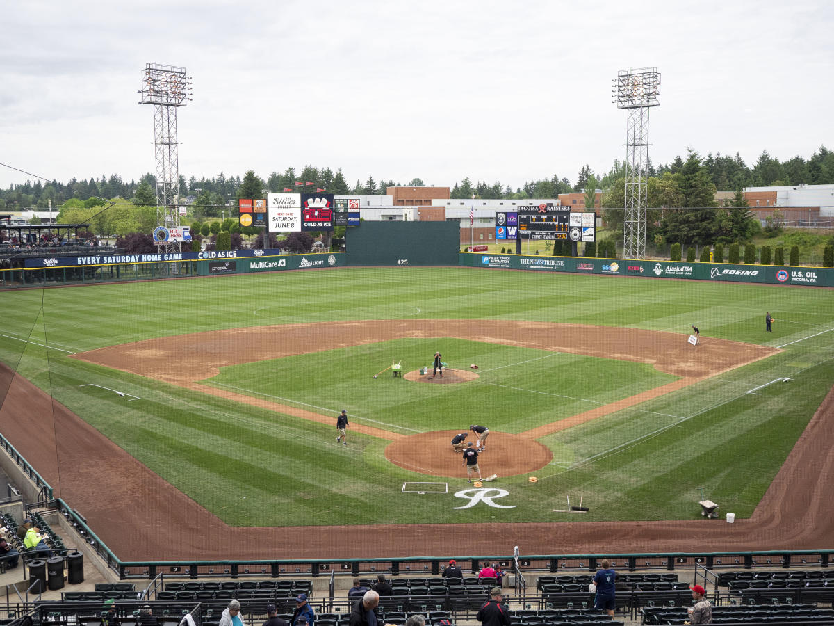 The art of losing successfully: baseball and the minor league grind, MLB