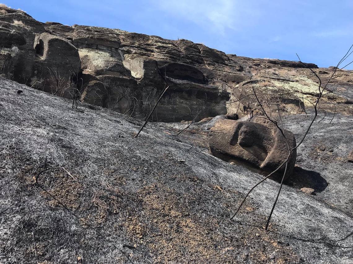 An Easter Island head laying on the burnt ground.