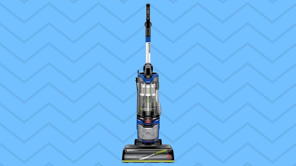 Pet vacuum cleaner with clear interface