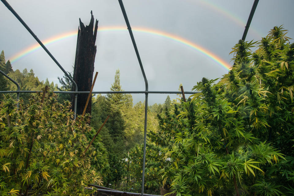 Double rainbow