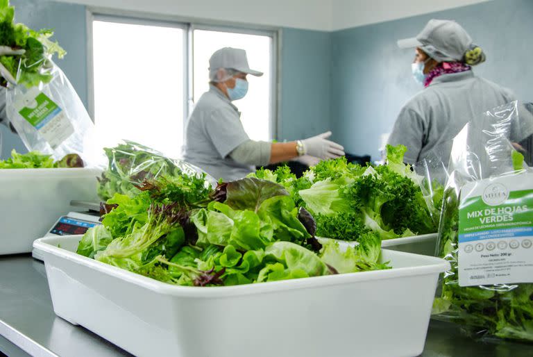 Bahía Blanca no produce vegetales y está lejos de las zonas que sí, como Mar del Plata y La Plata