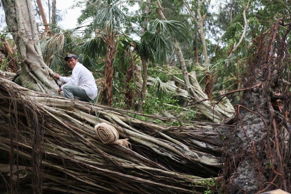 Crews work to stand the fallen Ficus trees along Bridge Road on Thursday, June 13, 2024, in Hobe Sound. Meteorologists confirmed Wednesday evening that a tornado touched down earlier in Hobe Sound.