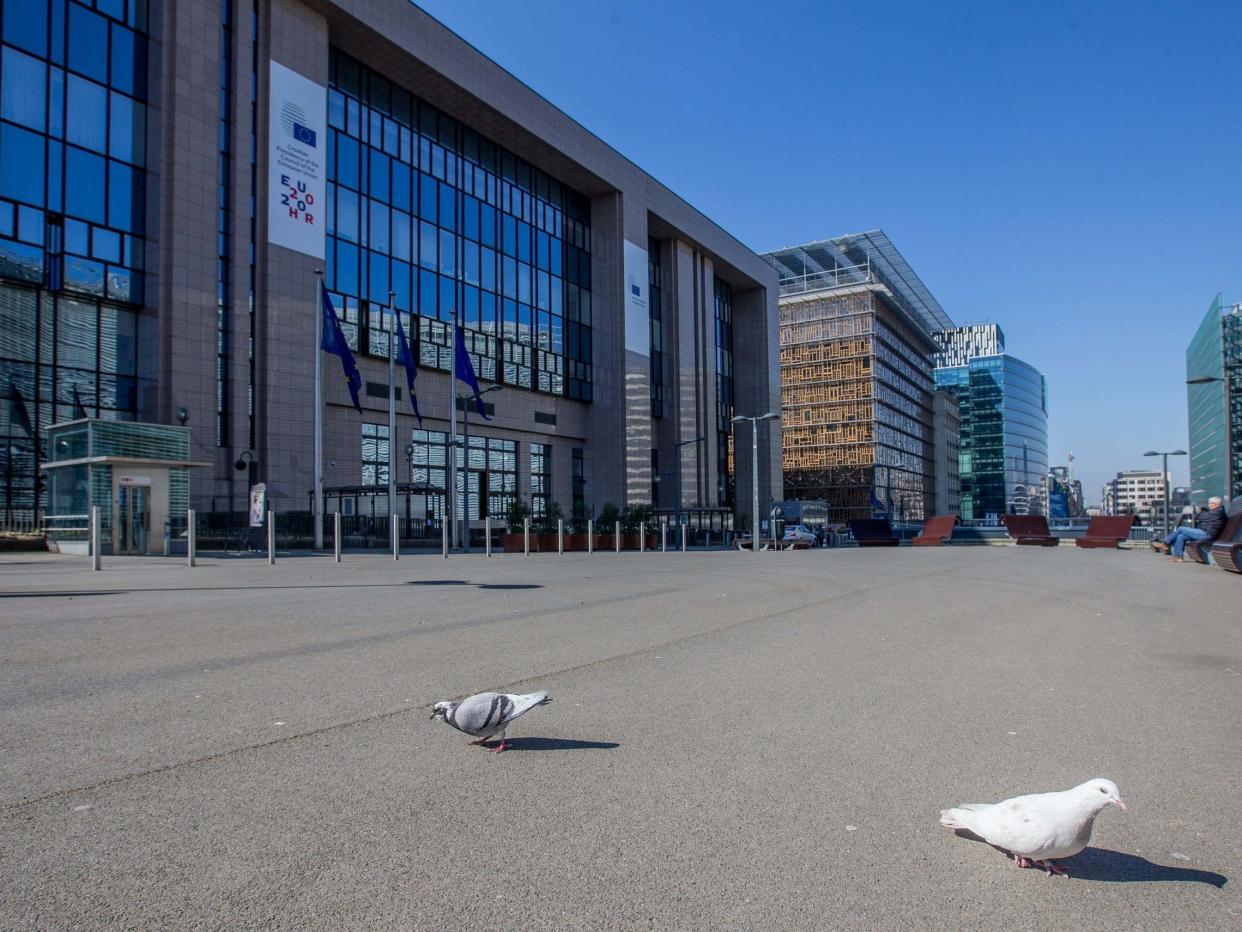 Pigeons in an empty square outside the front of the European Council in Brussels, Belgium: EPA