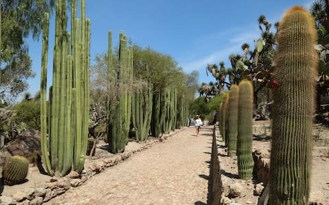 Cadereyta - Credit: getty