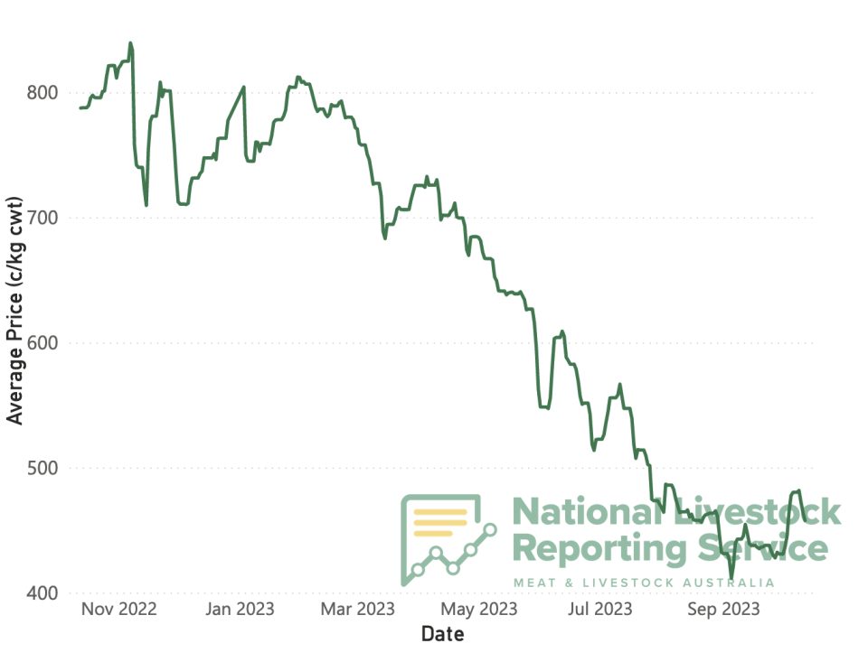 Chart showing informatyion about lamb.