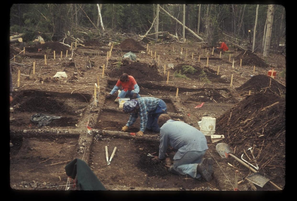 Archaeologists excavate at the Gulkana Site in the 1970s. Dr. William Workman Photo Collection