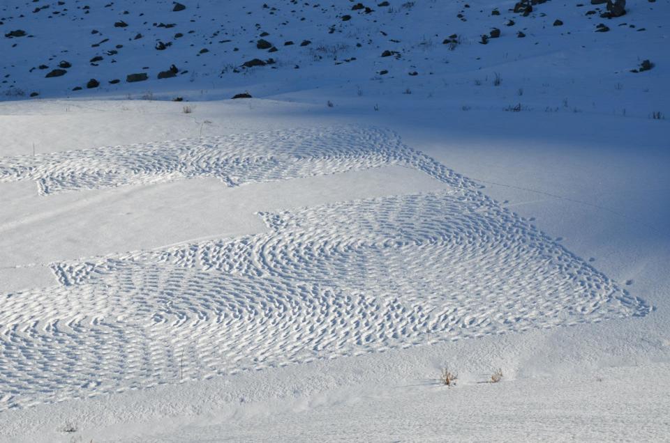 <p class="MsoNormal">Snow art crop circles by Simon Beck<br> View more of Beck's art on his Facebook page, <a href="https://www.facebook.com/snowart8848" rel="nofollow noopener" target="_blank" data-ylk="slk:Simon Beck's Snow Art;elm:context_link;itc:0;sec:content-canvas" class="link ">Simon Beck's Snow Art</a></p>