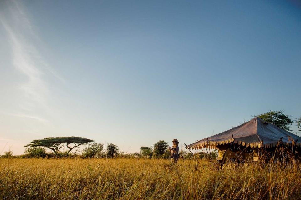 Thomson Safaris