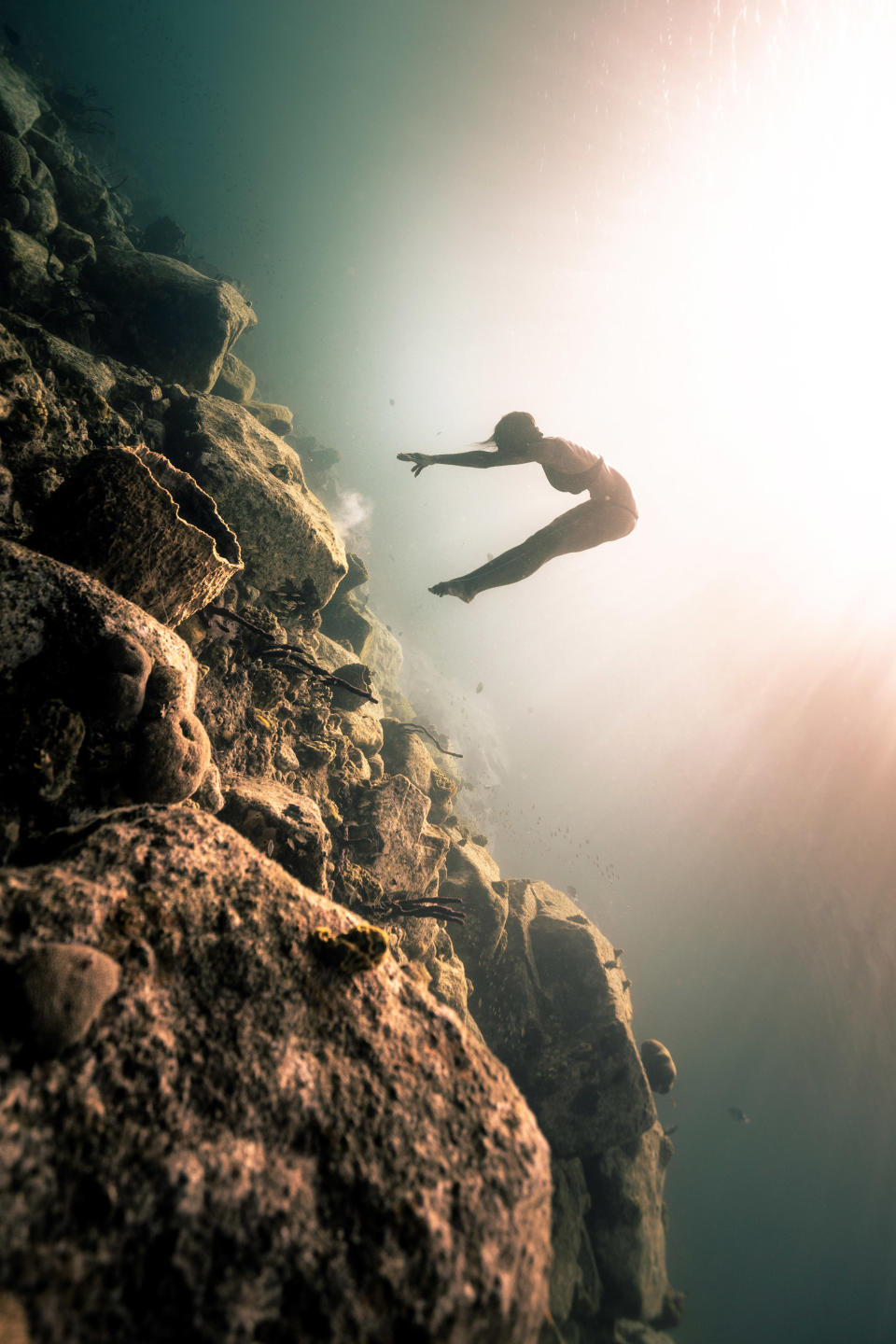 Beautiful Caribbean dive