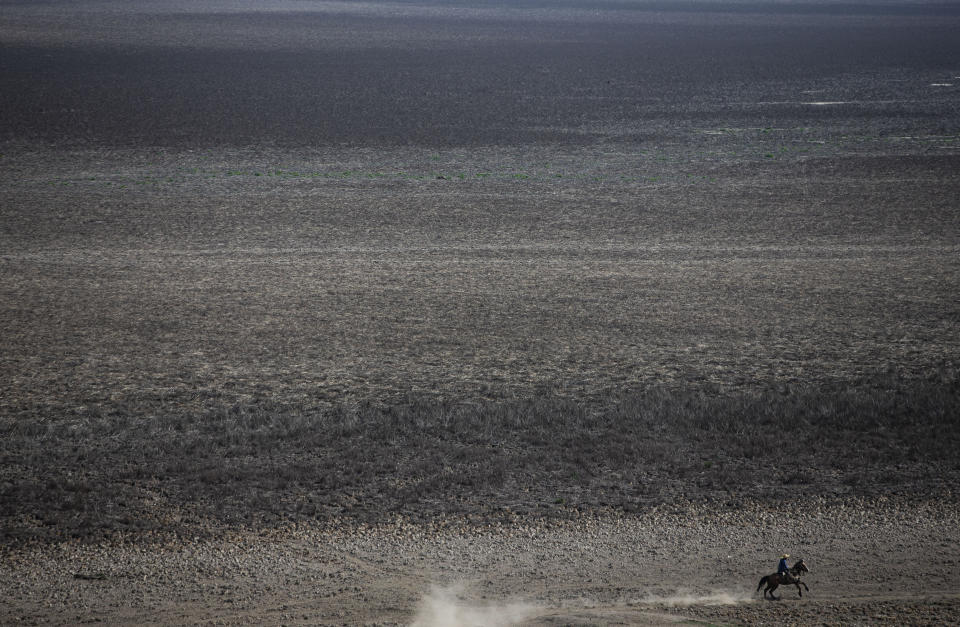 A resident rides his horse on the floor of the the Aculeo Lagoon lake bed, in Paine, Chile, Friday, Aug. 23, 2019. Officials in Chile say that the capital city and its outskirts are suffering from the worst drought in decades. (AP Photo/Esteban Felix)