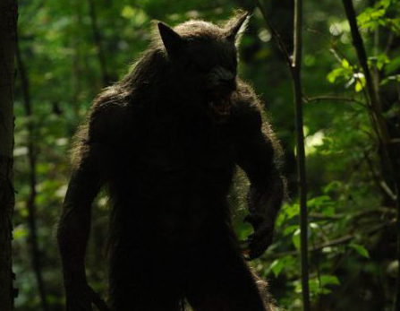 real werewolf sightings