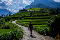 <p>En la cima de una colina en el Parque Nacional Hoang Lien se encuentra el Topas Ecolodge, un lugar increíble en el que poder desconectar del mundo.<br>Foto: Topas Ecolodge </p>