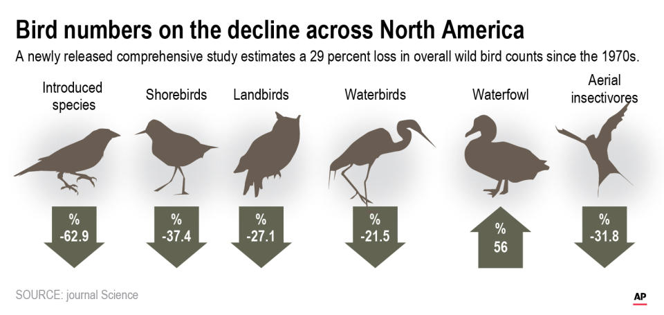 A new study finds there are nearly 3 billion fewer wild birds flying in North American skies than in 1970.;