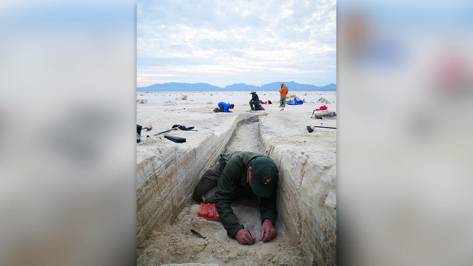 A man digs in a trench within an archaeological study site on a white sand beach.