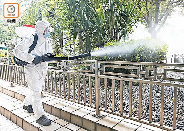 本地6月份蚊患指數嚴重，上水淪為重災區。