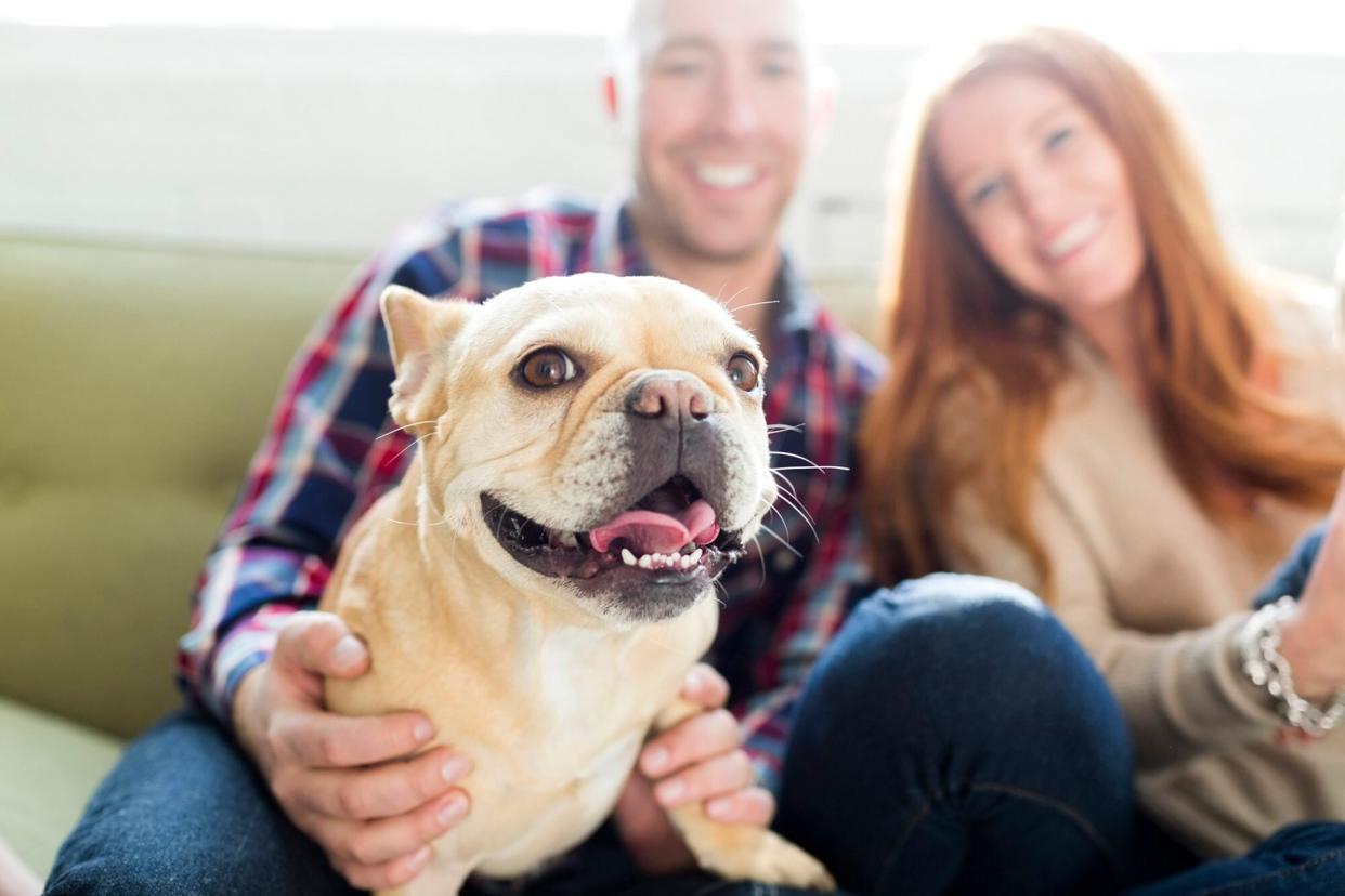 Couple with dog sitting on couch