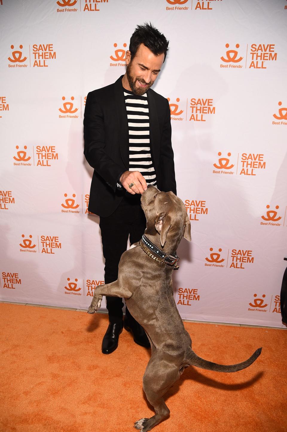 justin theroux and kuma the pit bull