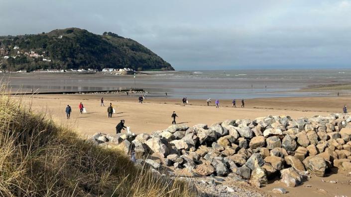 Recogedor de basura de playa