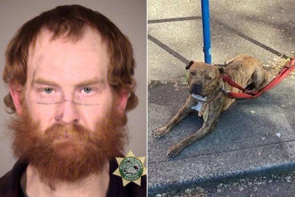 <p>Portland Police Department (2)</p> Zachary Hay and his dog