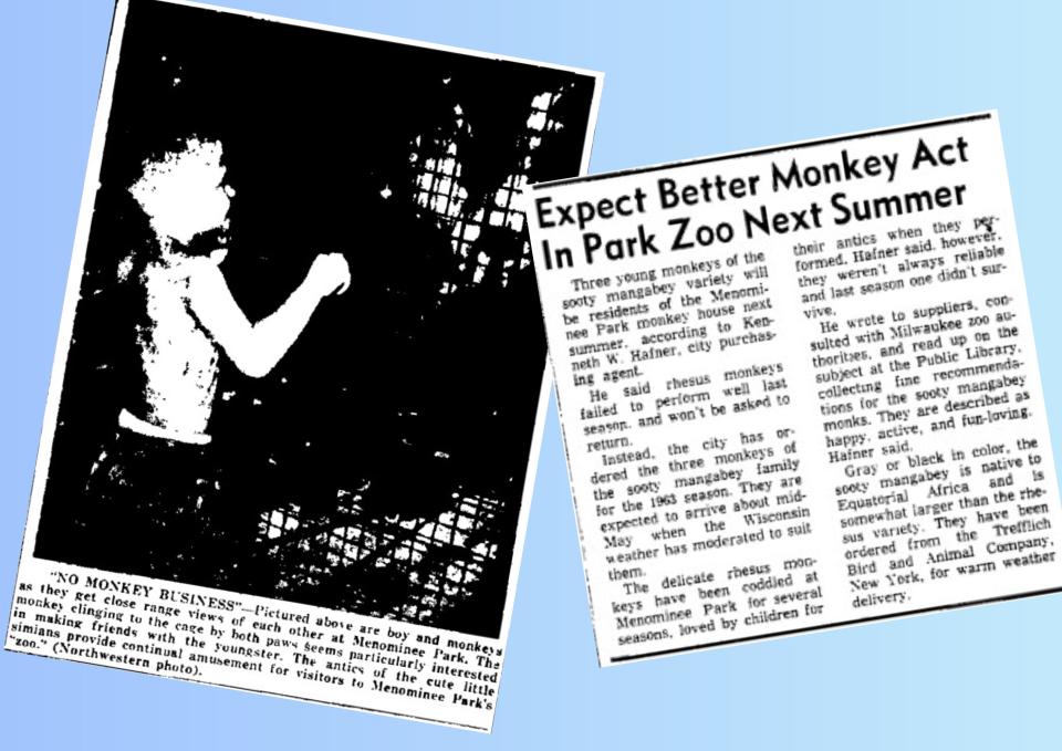 An Oshkosh Daily Northwestern photo from Aug. 21, 1953, of a boy visiting the monkey cage at Menominee Park and a March 14, 1963, Northwestern article on a new breed of monkeys coming to the park's exhibit.