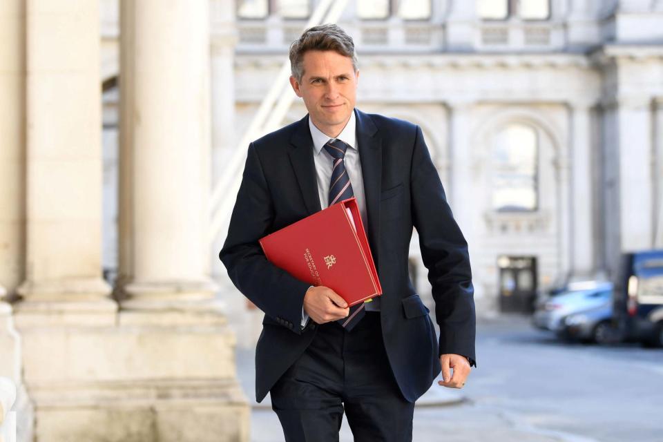 Gavin Williamson said the Government would cover the cost of appeals (REUTERS)