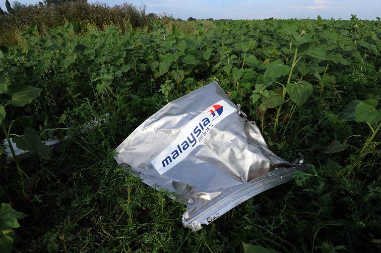 The Malaysia Airlines logo can be seen at the crash site of Flight MH17 near the village of Rassipnoe in rebel-held east Ukraine, on July 19, 2014