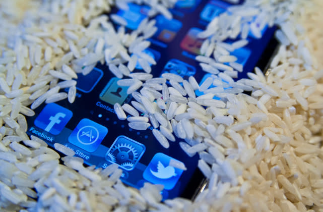 iphone rice