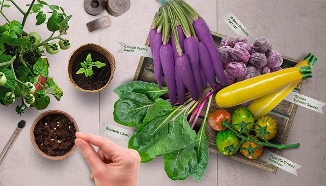 This Rainbow Veggie Growing Kit Is the Perfect Way To Welcome