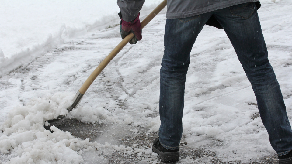 A snow shovel is ideal, but other types of shovels can do for the time being.